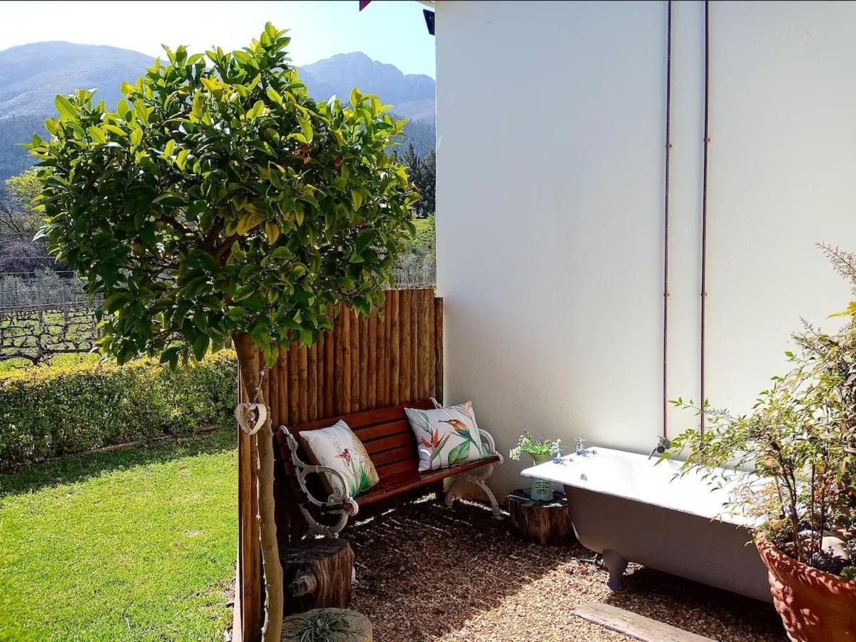 Olive And Vine Farm Cottage Franschhoek Quarto foto